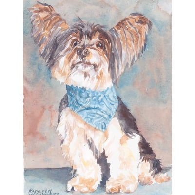 Yorkshire Terrier with a nect scarf